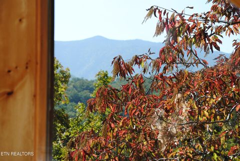 Tiny photo for 1622 Misty Hollow Way, Gatlinburg, TN 37738 (MLS # 1298602)