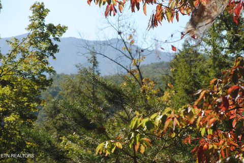 Tiny photo for 1622 Misty Hollow Way, Gatlinburg, TN 37738 (MLS # 1298602)