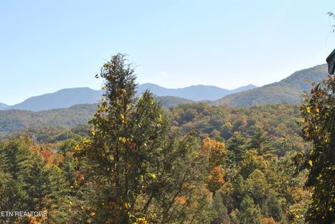 Tiny photo for 1622 Misty Hollow Way, Gatlinburg, TN 37738 (MLS # 1298602)