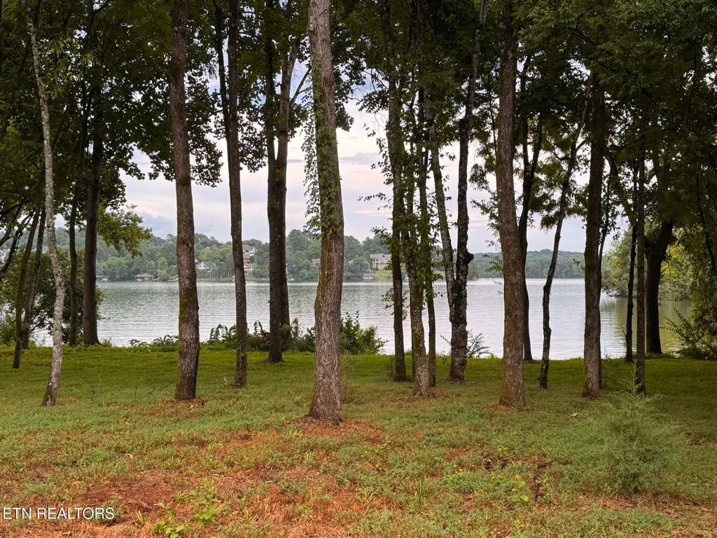 Photo of 380 Cormorant Drive, Vonore, TN 37885 (MLS # 1295164)