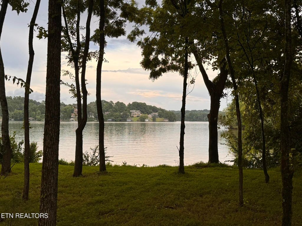 Photo of 380 Cormorant Drive, Vonore, TN 37885 (MLS # 1295164)