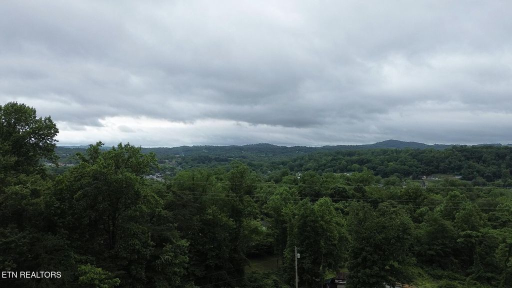 Photo of 550 N 13th St, LaFollette, TN 37766 (MLS # 1302603)