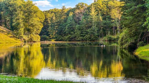 Tiny photo for 1527 Terry Rd, Oneida, TN 37841 (MLS # 1347112)