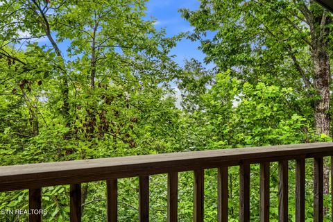 Tiny photo for 1889 Natures Lane, Sevierville, TN 37862 (MLS # 1347597)