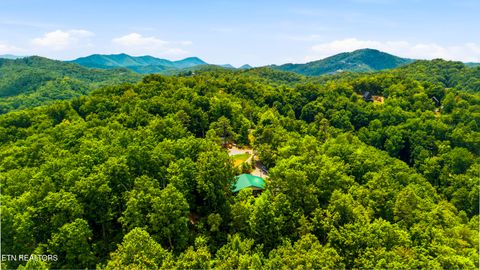 Tiny photo for 1889 Natures Lane, Sevierville, TN 37862 (MLS # 1347597)