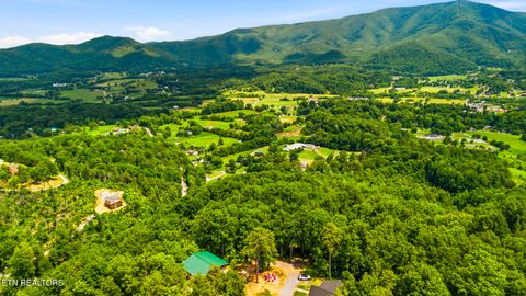Tiny photo for 1889 Natures Lane, Sevierville, TN 37862 (MLS # 1347597)