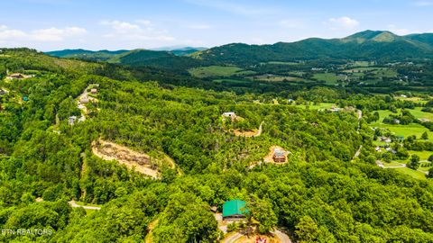 Tiny photo for 1889 Natures Lane, Sevierville, TN 37862 (MLS # 1347597)