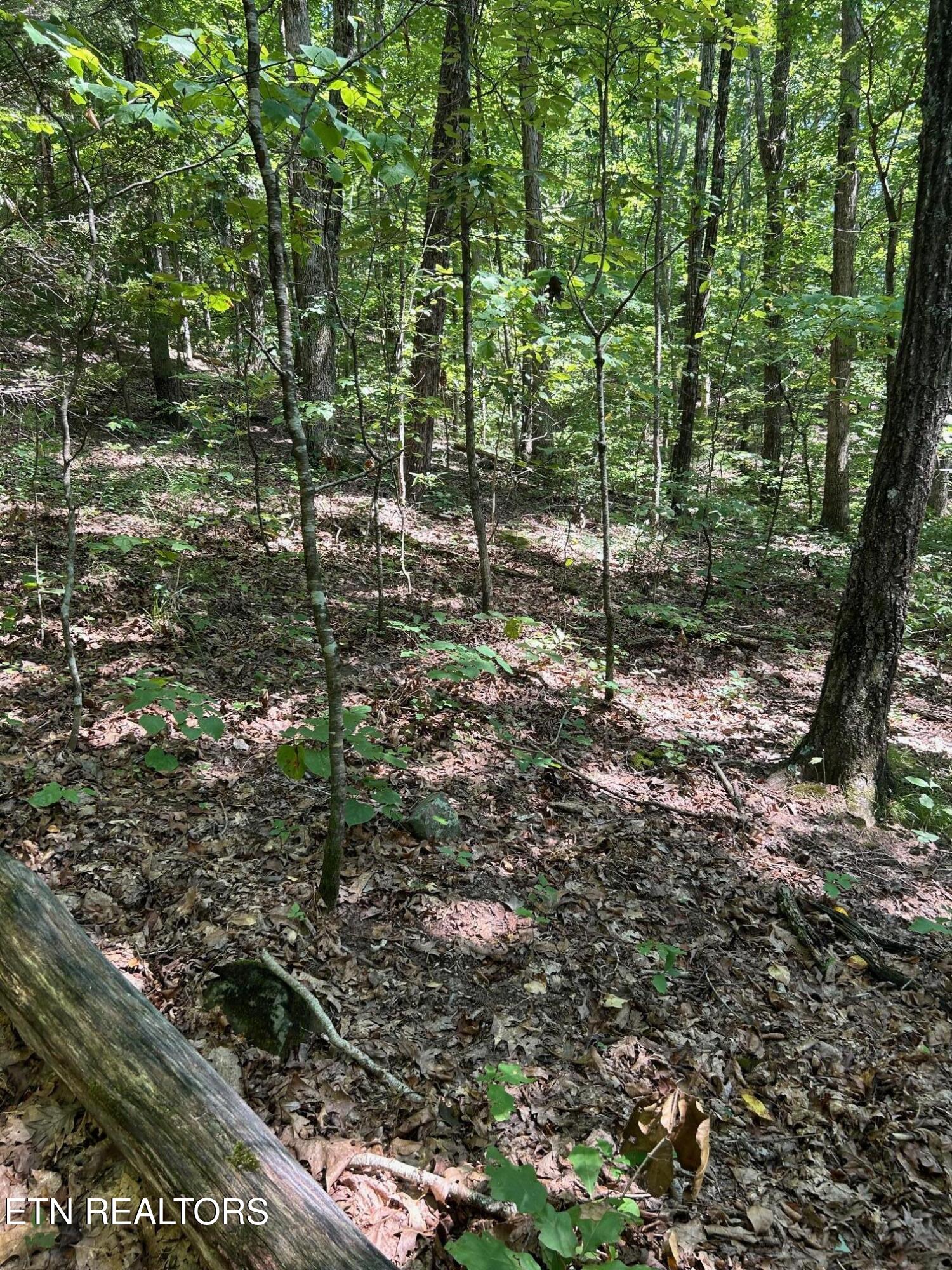 Laurel Mountain Circle