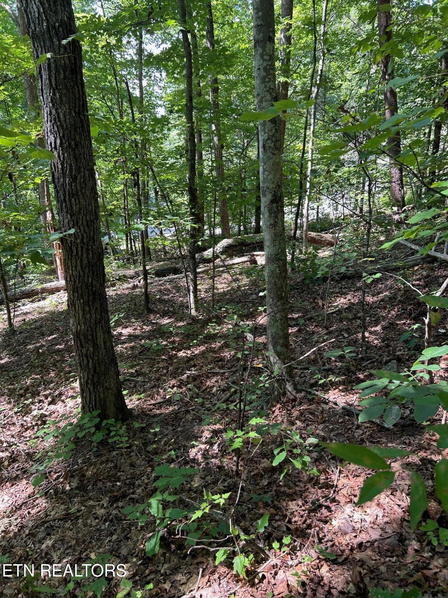 Laurel Mountain Circle