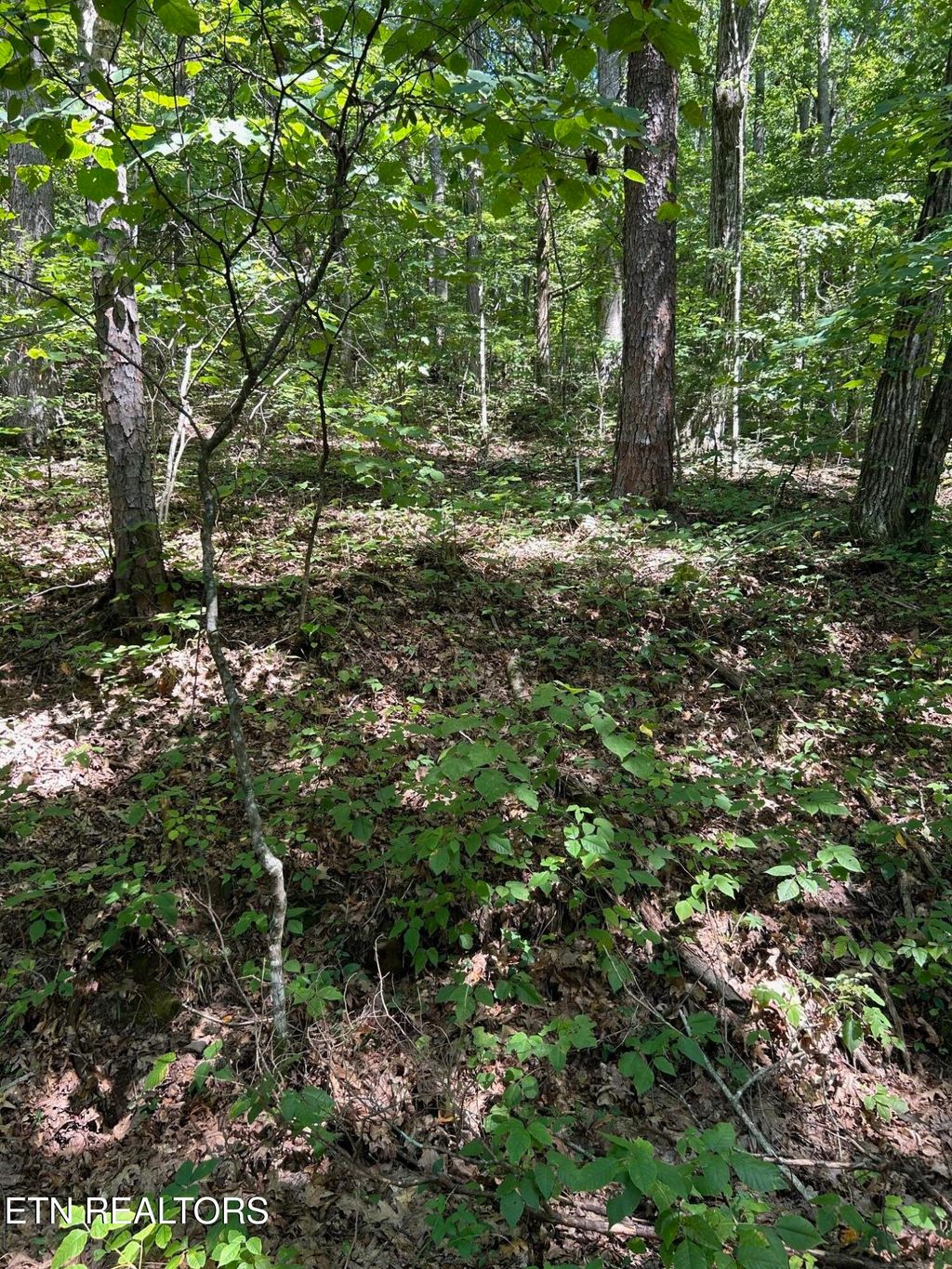 Photo of Laurel Mountain Circle, Madisonville, TN 37354 (MLS # 1312913)