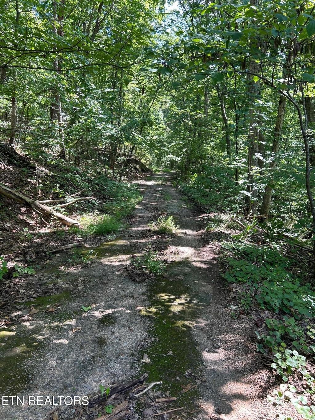 Photo of Laurel Mountain Circle, Madisonville, TN 37354 (MLS # 1312913)