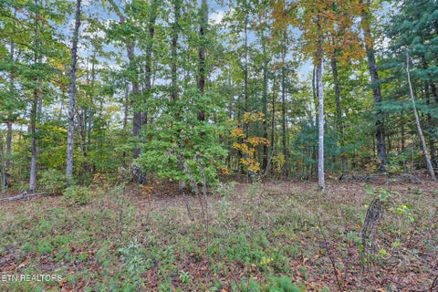 Tiny photo for 8068 Saratoga Drive, Crossville, TN 38572 (MLS # 1359390)