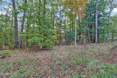 Tiny photo for 8068 Saratoga Drive, Crossville, TN 38572 (MLS # 1359390)