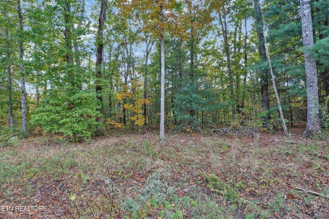 Tiny photo for 8068 Saratoga Drive, Crossville, TN 38572 (MLS # 1359390)