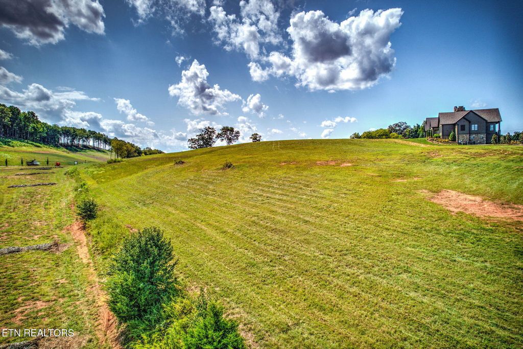 Photo of 138 Magnolia Hill Hl, Loudon, TN 37774 (MLS # 1315391)