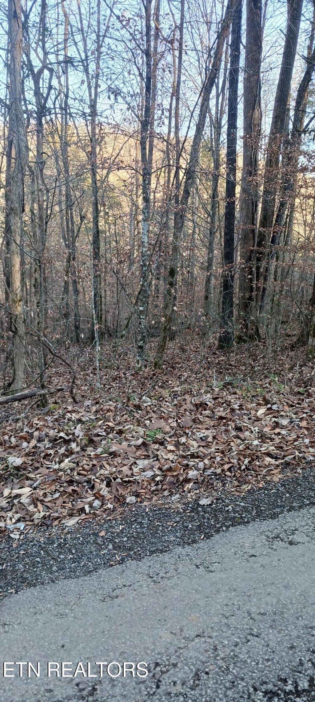 Photo of Braden Chapel Rd, Speedwell, TN 37870 (MLS # 1323965)