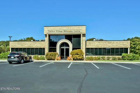 Tiny photo for 217 Walelu Tr, Vonore, TN 37885 (MLS # 1338456)