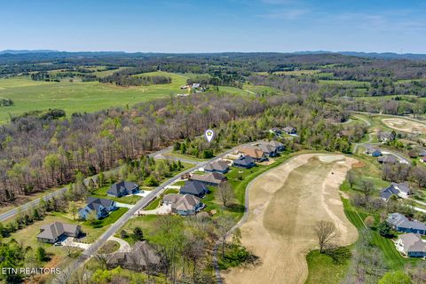 Tiny photo for 217 Walelu Tr, Vonore, TN 37885 (MLS # 1338456)