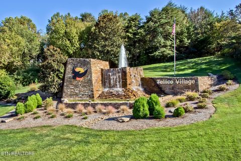Tiny photo for 217 Walelu Tr, Vonore, TN 37885 (MLS # 1338456)