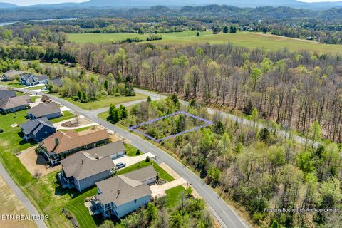 Tiny photo for 217 Walelu Tr, Vonore, TN 37885 (MLS # 1338456)