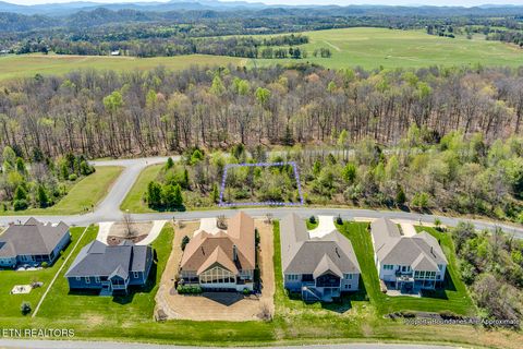 Tiny photo for 217 Walelu Tr, Vonore, TN 37885 (MLS # 1338456)