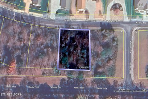 Tiny photo for 217 Walelu Tr, Vonore, TN 37885 (MLS # 1338456)