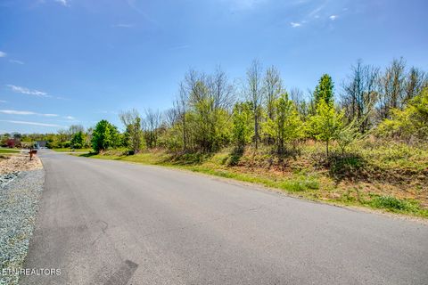 Tiny photo for 217 Walelu Tr, Vonore, TN 37885 (MLS # 1338456)