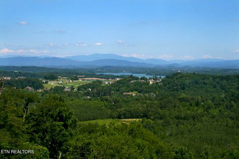 Tiny photo for 217 Walelu Tr, Vonore, TN 37885 (MLS # 1338456)