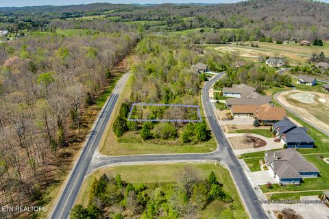 Tiny photo for 217 Walelu Tr, Vonore, TN 37885 (MLS # 1338456)