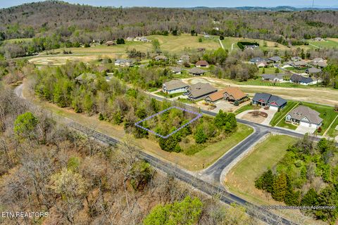 Photo of 217 Walelu Tr, Vonore, TN 37885 (MLS # 1338456)
