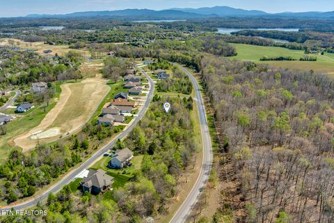 Tiny photo for 217 Walelu Tr, Vonore, TN 37885 (MLS # 1338456)