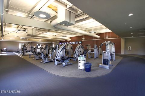 Tiny photo for 217 Walelu Tr, Vonore, TN 37885 (MLS # 1338456)