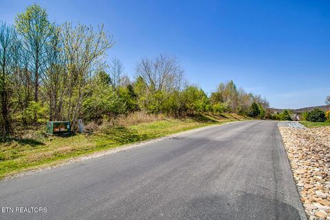 Tiny photo for 217 Walelu Tr, Vonore, TN 37885 (MLS # 1338456)