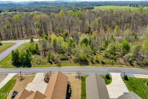 Tiny photo for 217 Walelu Tr, Vonore, TN 37885 (MLS # 1338456)