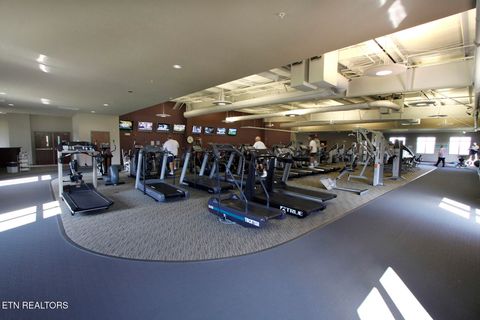 Tiny photo for 217 Walelu Tr, Vonore, TN 37885 (MLS # 1338456)