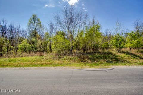 Tiny photo for 217 Walelu Tr, Vonore, TN 37885 (MLS # 1338456)