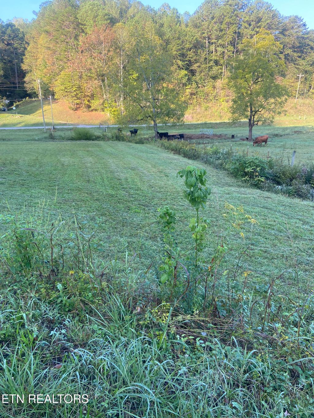 Photo of 00 Fairview Rd, Madisonville, TN 37354 (MLS # 1278669)