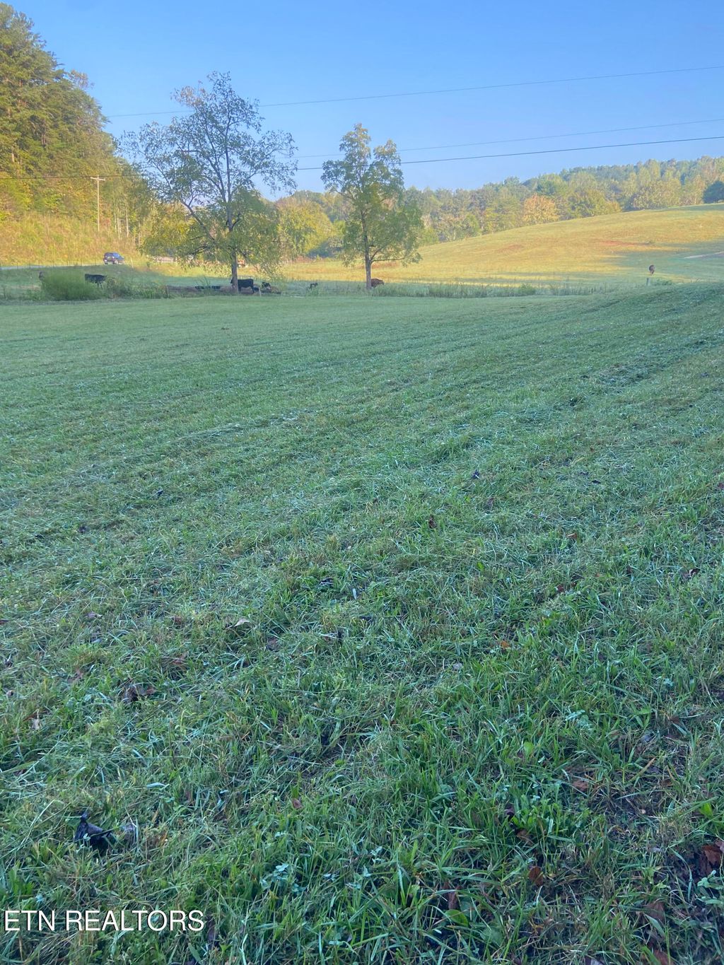 Photo of 00 Fairview Rd, Madisonville, TN 37354 (MLS # 1278669)