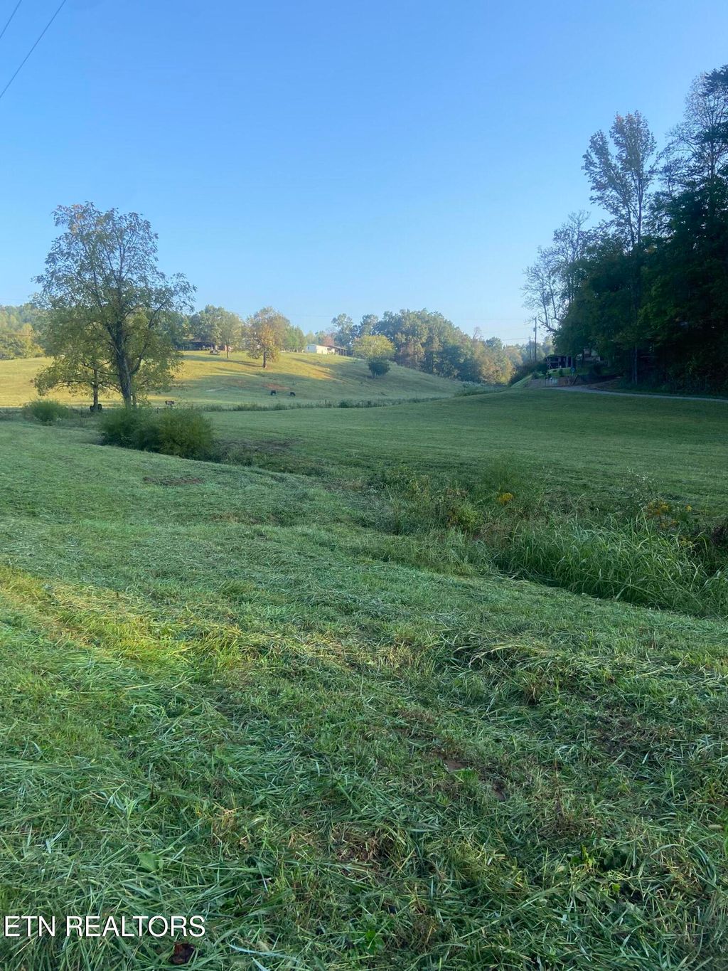 Photo of 00 Fairview Rd, Madisonville, TN 37354 (MLS # 1278669)