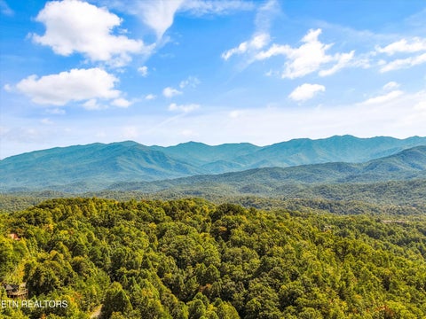 Tiny photo for 1016 Rast Court, Gatlinburg, TN 37738 (MLS # 1357513)