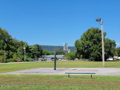 Tiny photo for 475 Broyles Rd, Spring City, TN 37381 (MLS # 1315672)