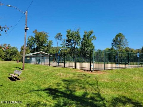 Tiny photo for 475 Broyles Rd, Spring City, TN 37381 (MLS # 1315672)