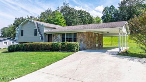 Tiny photo for 475 Broyles Rd, Spring City, TN 37381 (MLS # 1315672)