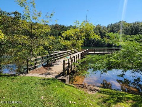Tiny photo for 475 Broyles Rd, Spring City, TN 37381 (MLS # 1315672)