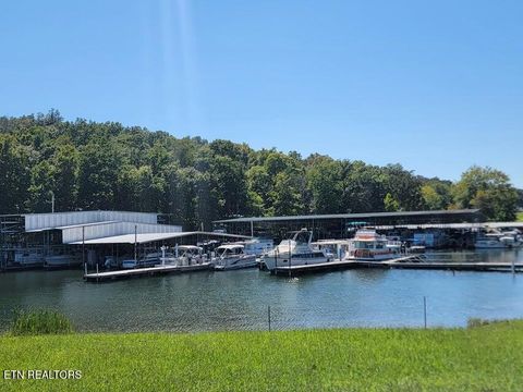 Tiny photo for 475 Broyles Rd, Spring City, TN 37381 (MLS # 1315672)