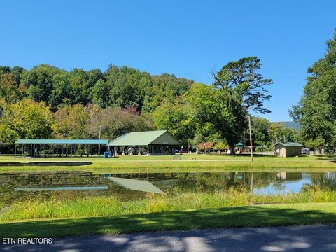 Tiny photo for 475 Broyles Rd, Spring City, TN 37381 (MLS # 1315672)