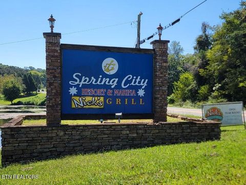 Tiny photo for 475 Broyles Rd, Spring City, TN 37381 (MLS # 1315672)