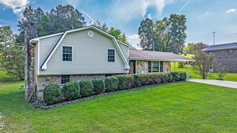 Tiny photo for 475 Broyles Rd, Spring City, TN 37381 (MLS # 1315672)