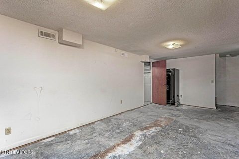 Tiny photo for 475 Broyles Rd, Spring City, TN 37381 (MLS # 1315672)