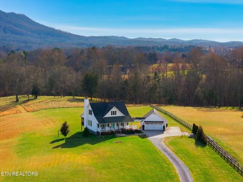 Tiny photo for 7425 Mountain Glory Way, Corryton, TN 37721 (MLS # 1328479)